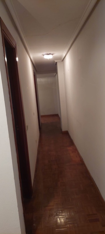 PISO EN MENÉNDEZ PELAYO