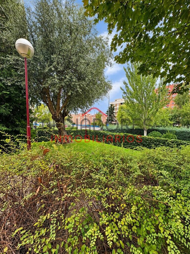 PISO EN AVENIDA DE RAMÓN Y CAJAL